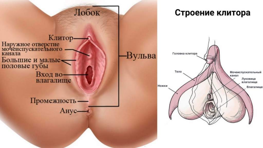 Clitoris orgasm technique