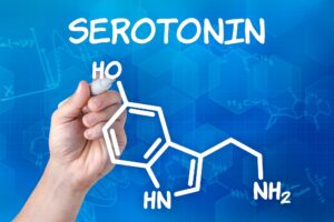 Что такое серотонин или гормон счастья и для чего он нужен?
